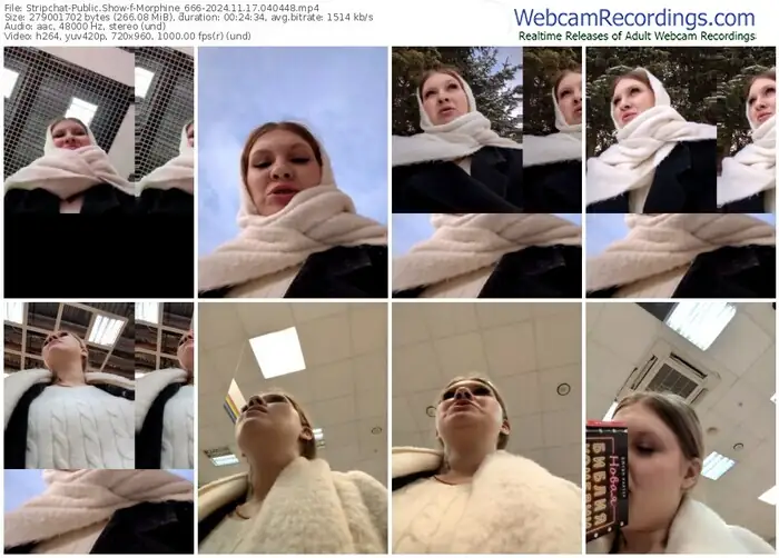 2024/11/17/stripchat-morphine_666-04-04-48