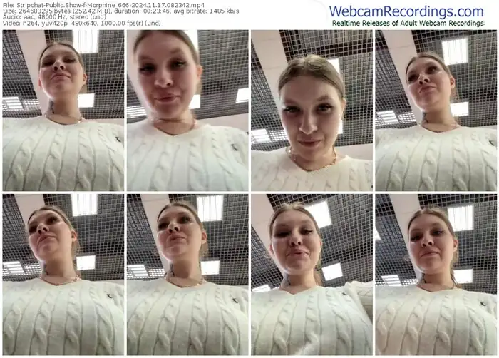 2024/11/17/stripchat-morphine_666-08-23-42