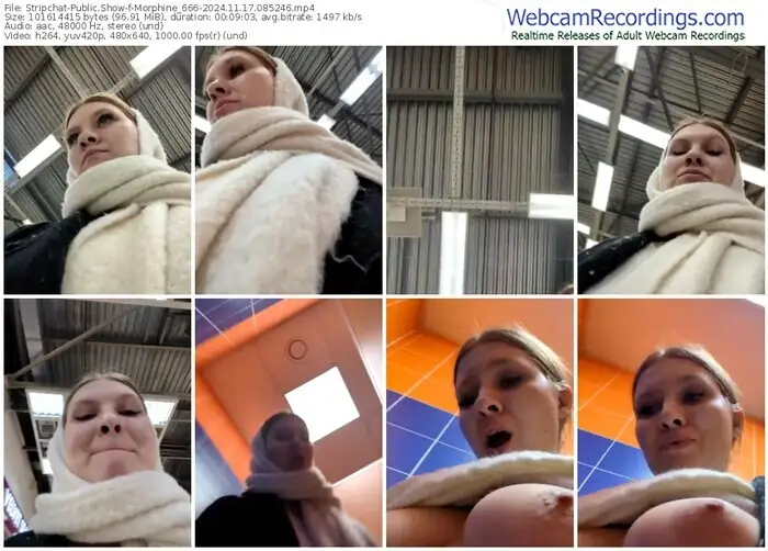 2024/11/17/stripchat-morphine_666-08-52-46