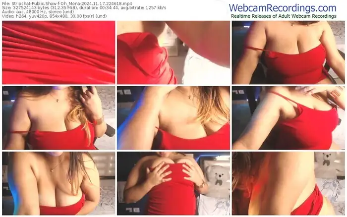 2024/11/17/stripchat-oh_mona-22-46-18