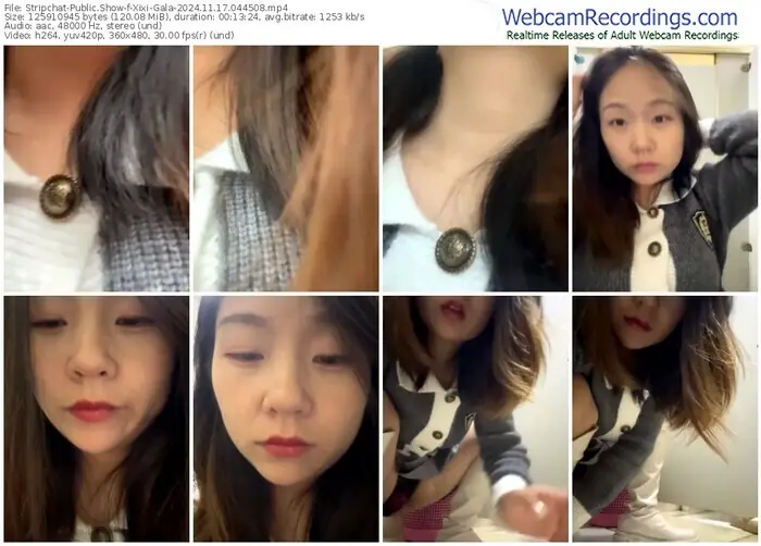 2024/11/17/stripchat-xixi-gala-04-45-08