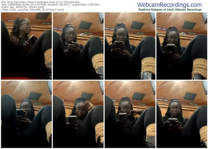 2024/11/17/stripchat-zadaraye-05-42-39