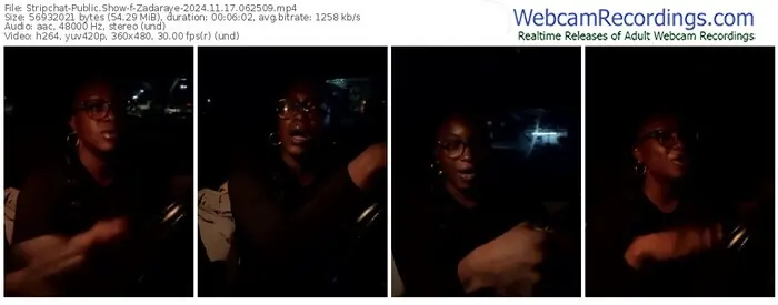 2024/11/17/stripchat-zadaraye-06-25-09