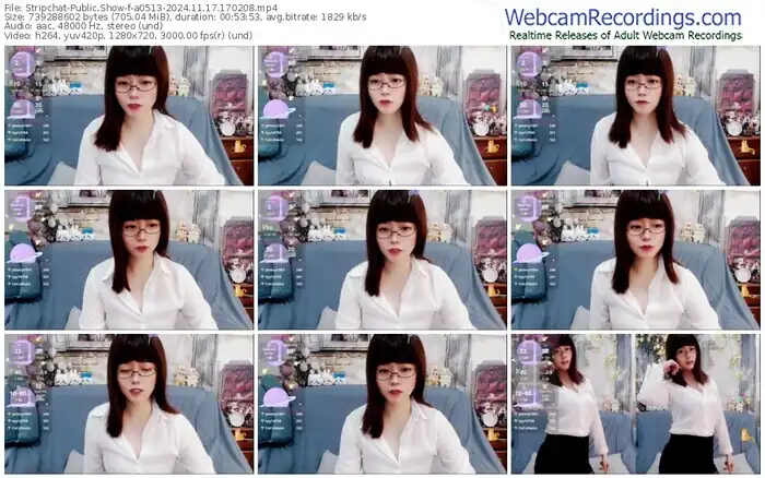 2024/11/17/stripchat-a0513-17-02-08