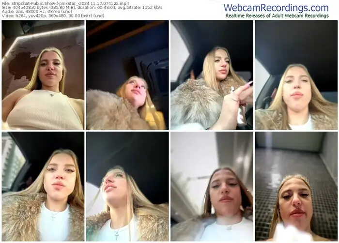 2024/11/17/stripchat-pinkstar_-07-41-22