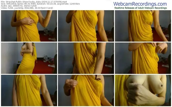 2024/11/17/stripchat-zuby_duby-07-00-56