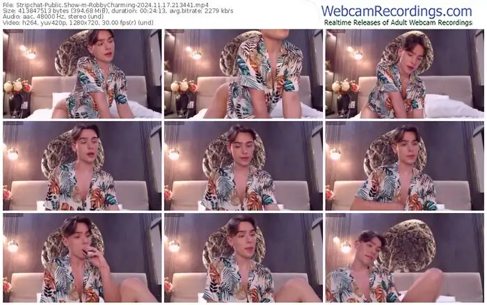2024/11/17/stripchat-robbycharming-21-34-41