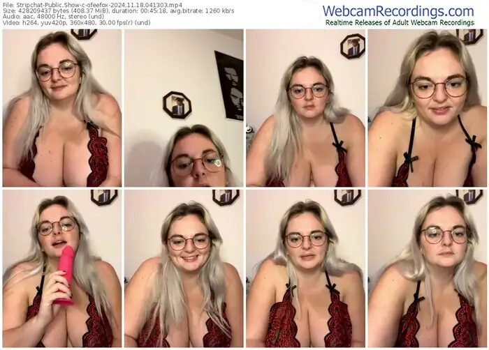 2024/11/18/stripchat-ofeefox-04-13-03