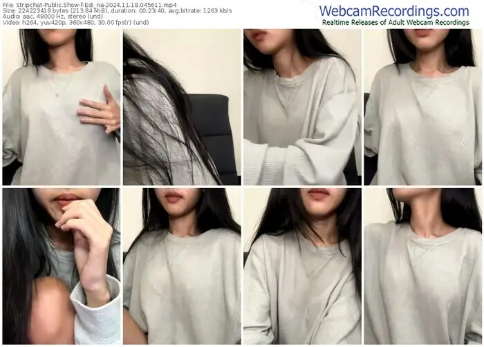 2024/11/18/stripchat-edi_na-04-56-11