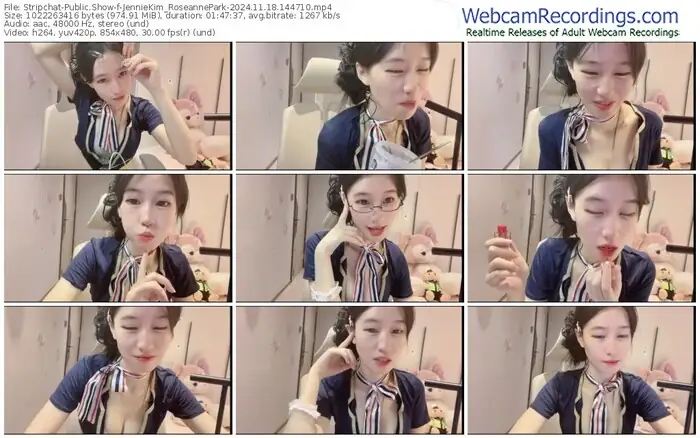 2024/11/18/stripchat-jenniekim_roseannepark-14-47-10