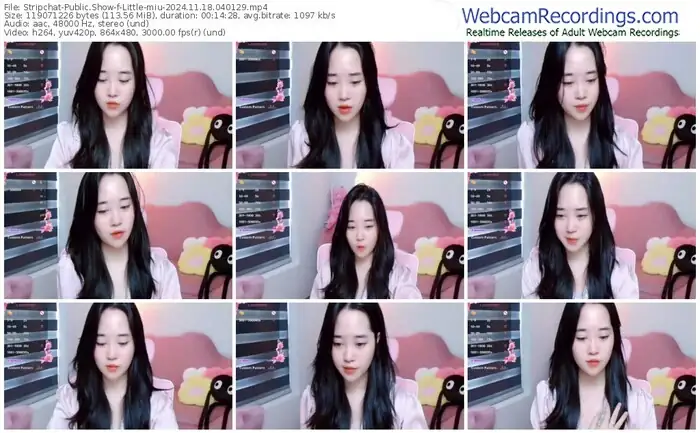 2024/11/18/stripchat-little-miu-04-01-29