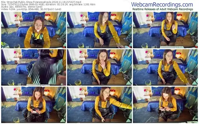 2024/11/18/stripchat-vanessadoyle-21-53-27