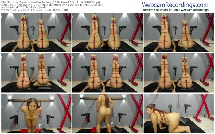 2024/11/18/stripchat-vantablack_bdsmshow-20-18-20