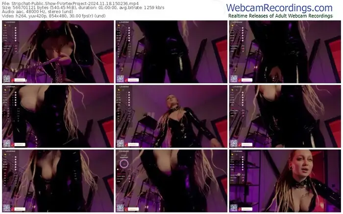 2024/11/18/stripchat-vortexproject-15-02-36