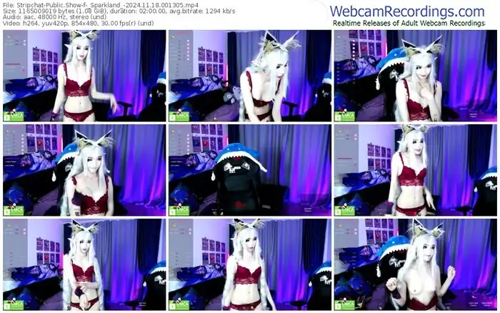 2024/11/18/stripchat-_sparkland_-00-13-05