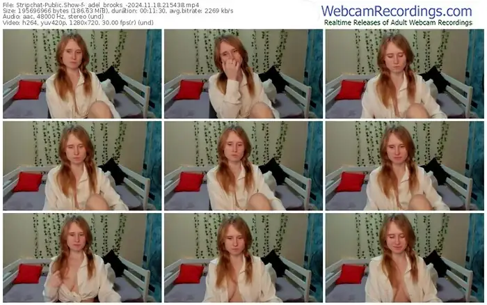 2024/11/18/stripchat-_adel_brooks_-21-54-38