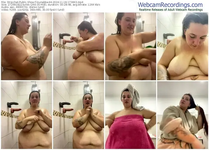 2024/11/18/stripchat-lounabbw44-17-38-43