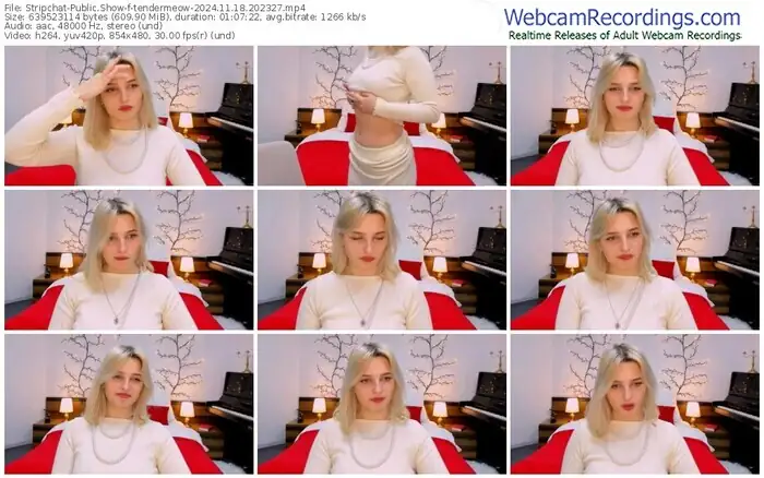 2024/11/18/stripchat-tendermeow-20-23-27