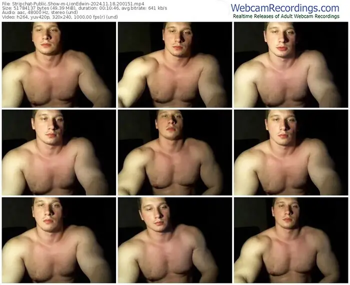 2024/11/18/stripchat-lionedwin-20-01-51