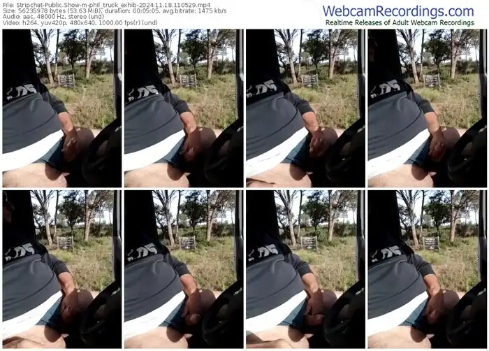 2024/11/18/stripchat-phil_truck_exhib-11-05-29