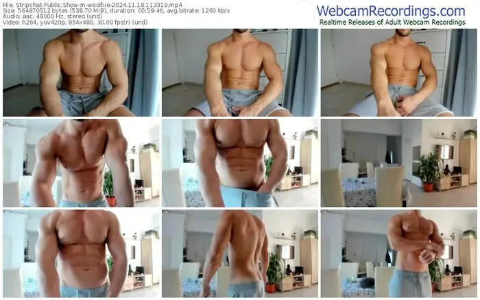2024/11/18/stripchat-woolfiie-11-33-19