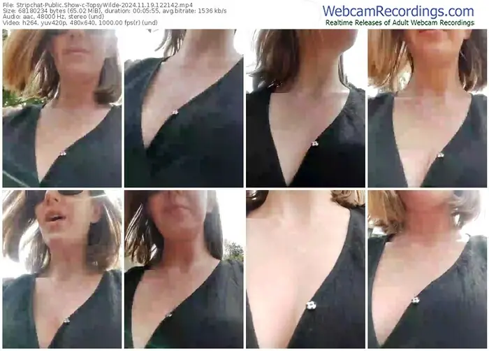 2024/11/19/stripchat-topsywilde-12-21-42