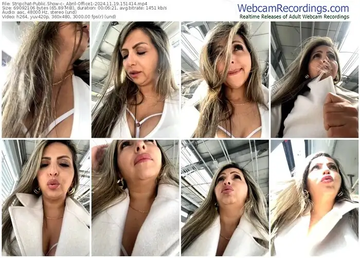 2024/11/19/stripchat-_abril-office1-15-14-14