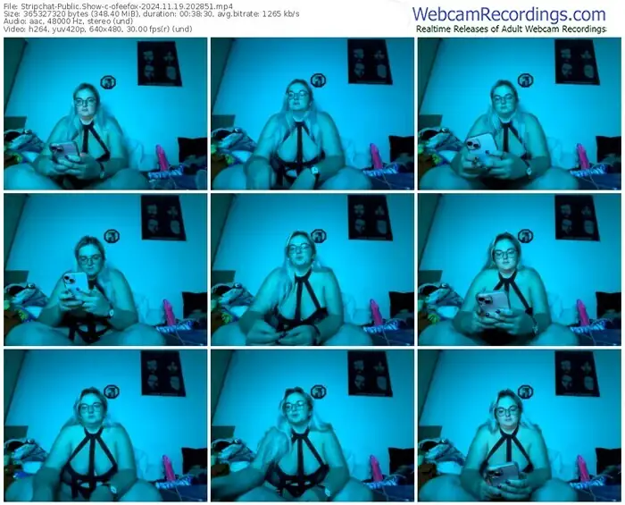 2024/11/19/stripchat-ofeefox-20-28-51