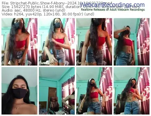 2024/11/19/stripchat-abony--03-17-29