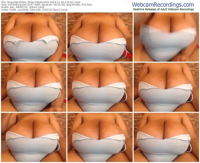 2024/11/19/stripchat-bigasstitt-13-22-11