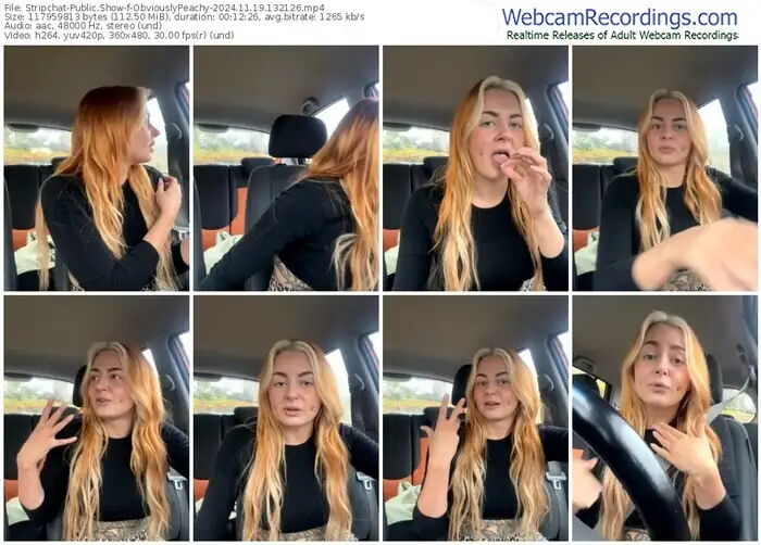 2024/11/19/stripchat-obviouslypeachy-13-21-26