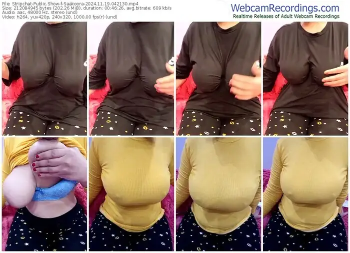 2024/11/19/stripchat-saakoora-04-21-30