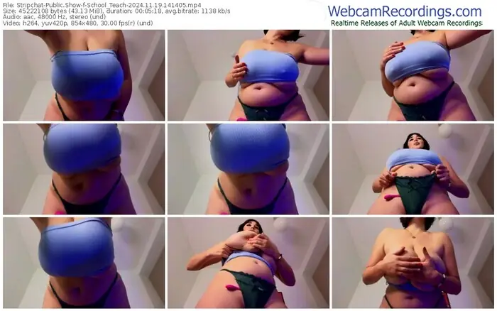 2024/11/19/stripchat-school_teach-14-14-05