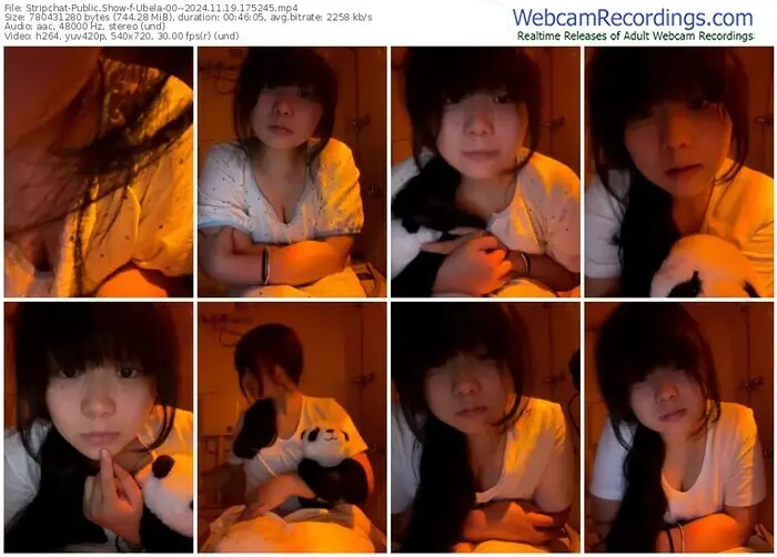 2024/11/19/stripchat-ubela-00--17-52-45