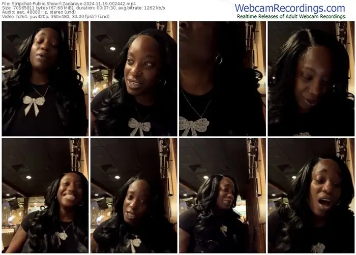 2024/11/19/stripchat-zadaraye-00-24-42