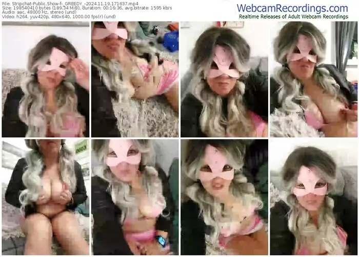 2024/11/19/stripchat-_greedy_-17-16-37