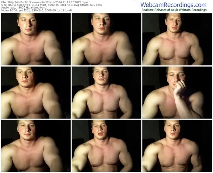 2024/11/19/stripchat-lionedwin-20-26-25