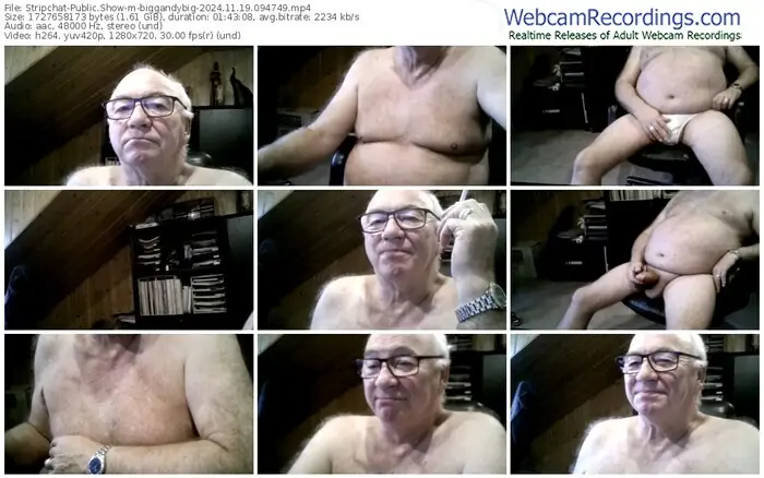 2024/11/19/stripchat-biggandybig-09-47-49