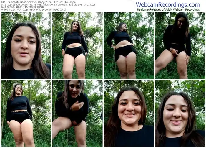 2024/11/20/stripchat-liancy-20-14-45