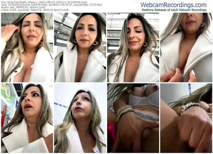 2024/11/20/stripchat-_abril-office1-16-09-30