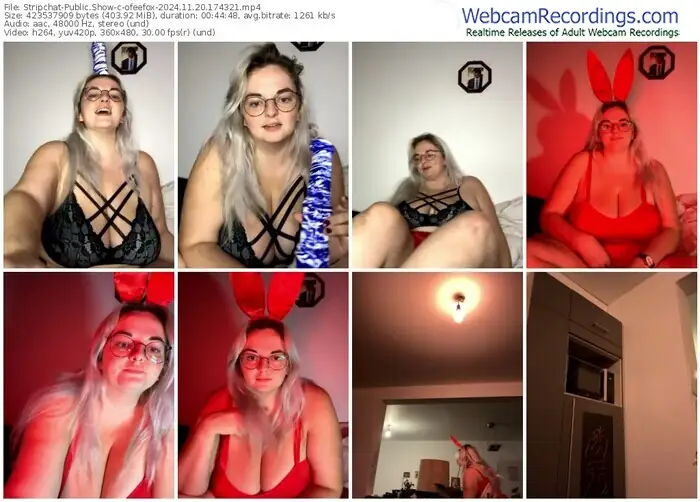 2024/11/20/stripchat-ofeefox-17-43-21