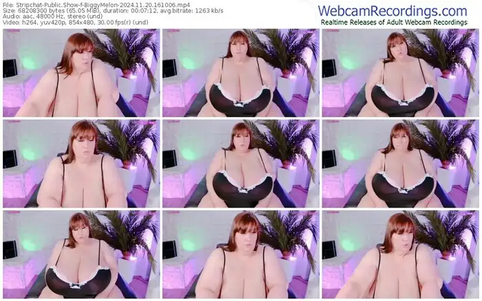 2024/11/20/stripchat-biggymelon-16-10-06