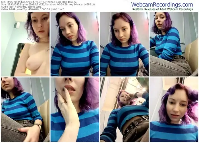 2024/11/20/stripchat-frost_foxy-08-51-48