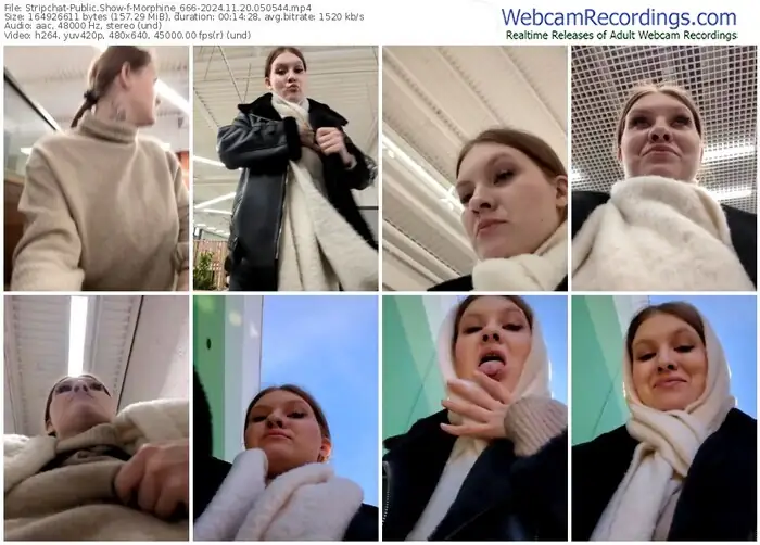 2024/11/20/stripchat-morphine_666-05-05-44