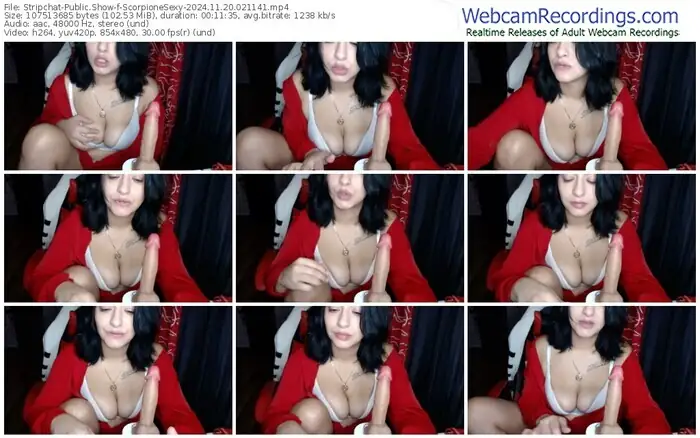 2024/11/20/stripchat-scorpionesexy-02-11-41