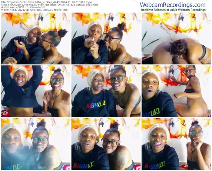 2024/11/20/stripchat-the_wickles_4443-01-53-12