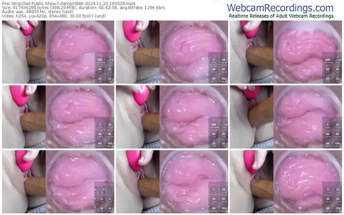 2024/11/20/stripchat-danigirl866-16-55-28