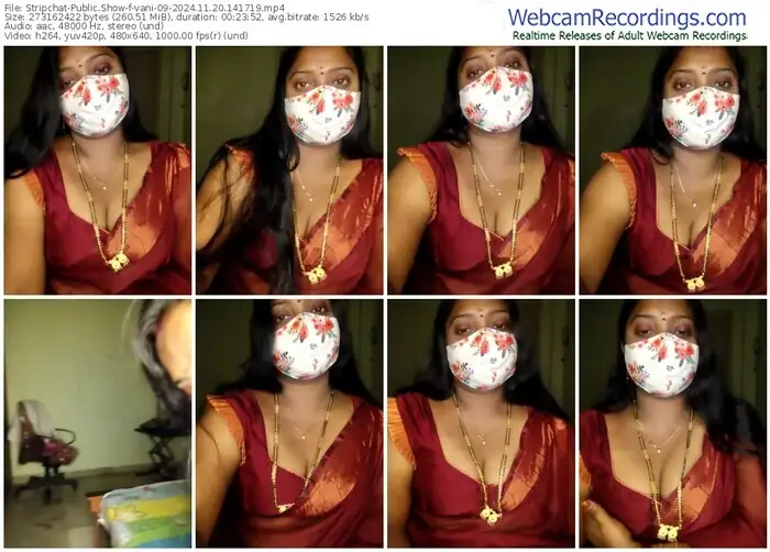 2024/11/20/stripchat-vani-09-14-17-19