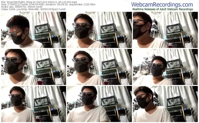 2024/11/20/stripchat-owl1216-12-13-03