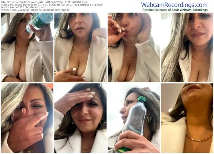 2024/11/21/stripchat-_abril-office1-16-29-08